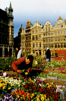 Bruxelles, Belgique